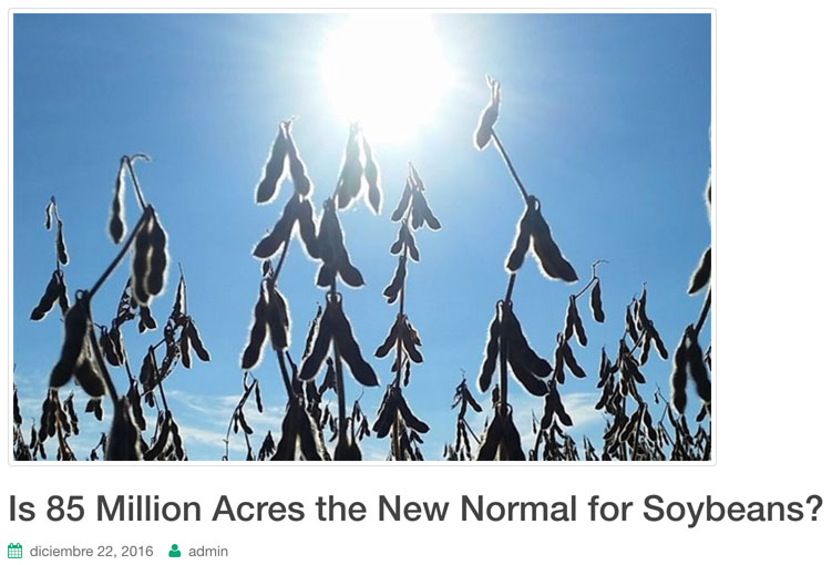 85-million-acres-soybeans