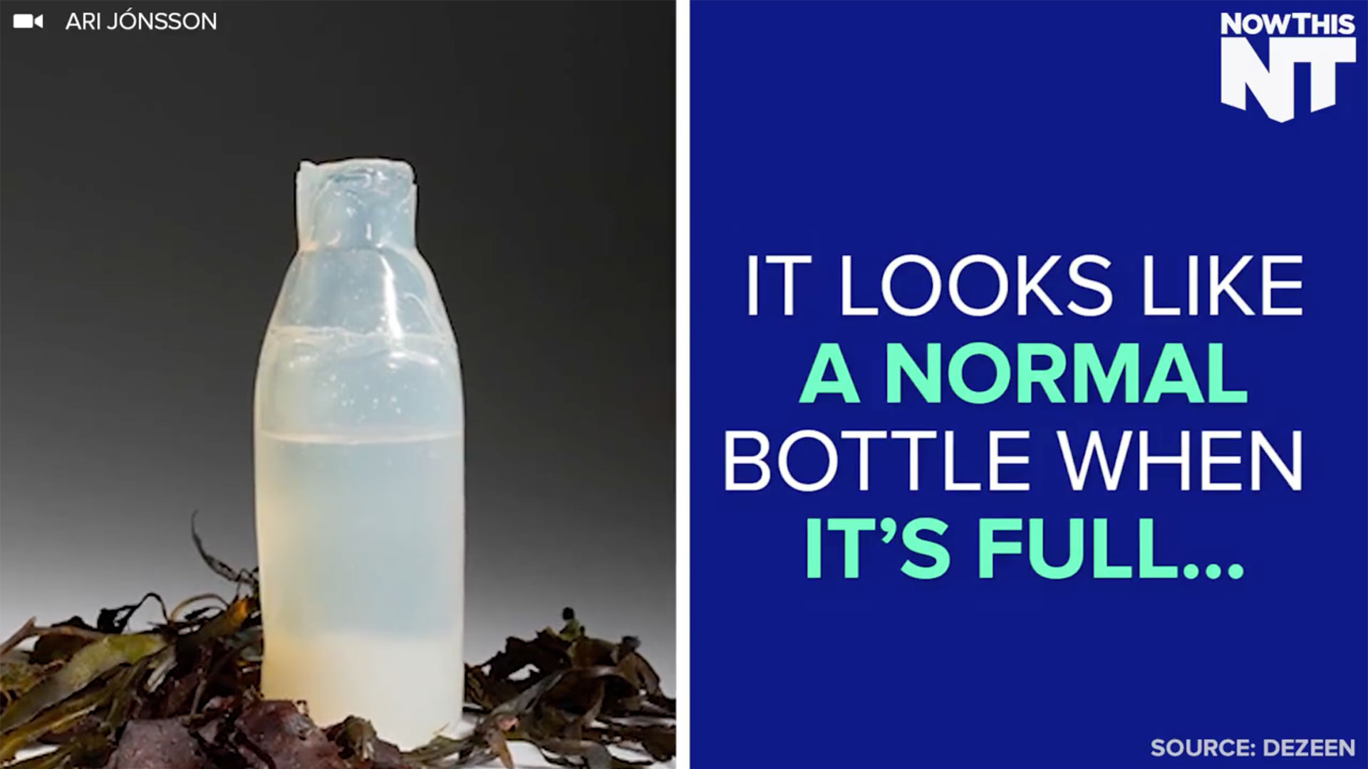 ‘Normal’ looking plastic bottle decomposes into edible bark-like shape